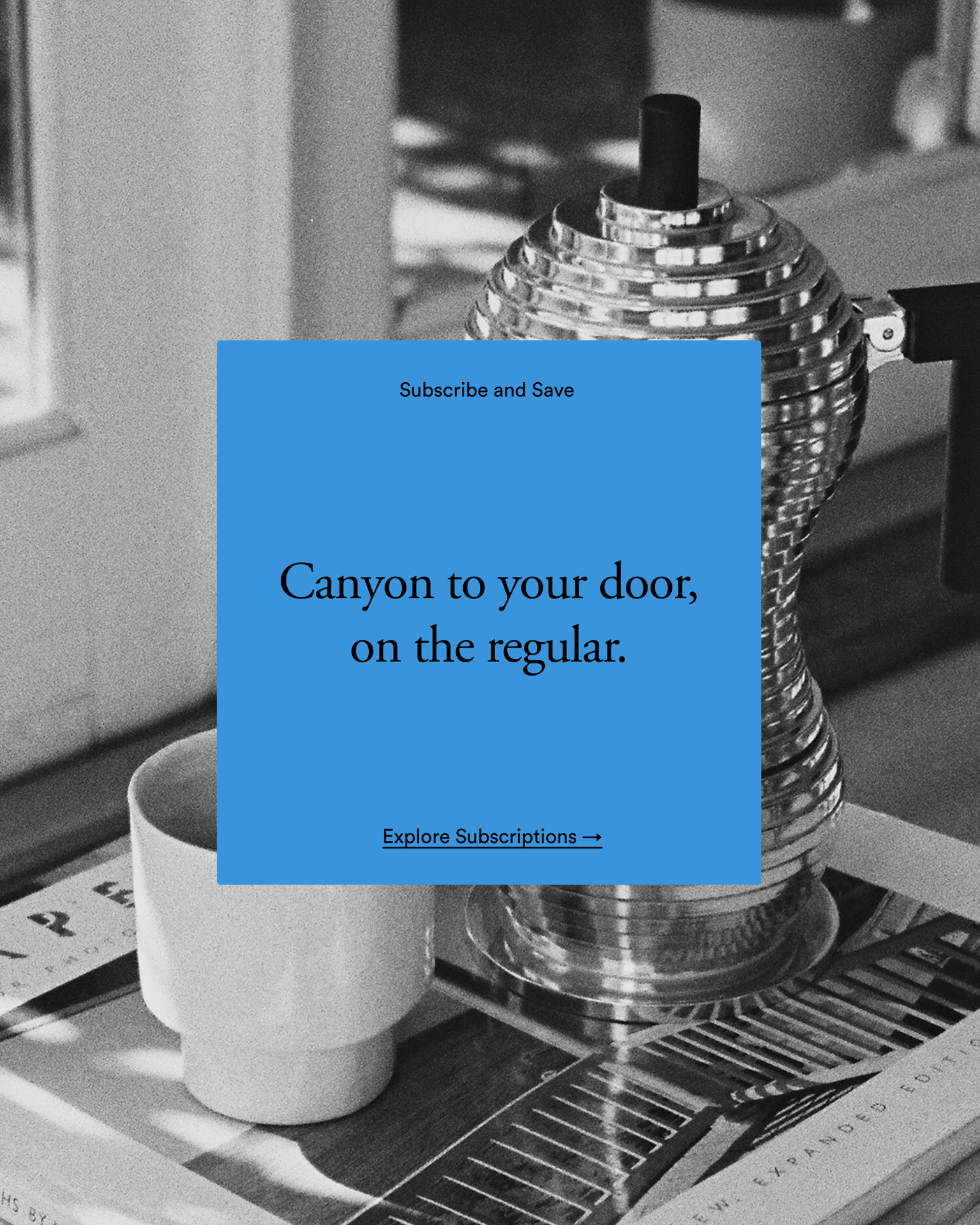 Pedro Ajo, work: Canyon (fig. 9)